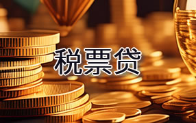 乐山税票贷